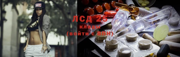 PSILOCYBIN Надым