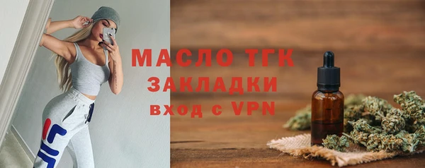 гашик Алексеевка