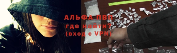 гашик Алексеевка
