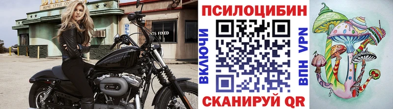 omg   Александровск-Сахалинский  Галлюциногенные грибы Cubensis  как найти закладки 